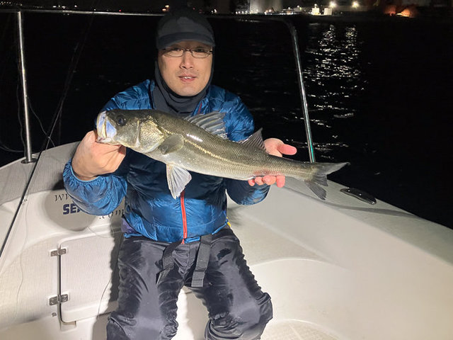 シーバス(スズキ)