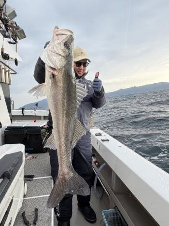 シーバス(スズキ)