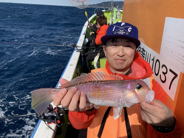 アマダイ(アカアマダイ)