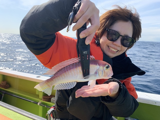 アマダイ(アカアマダイ)