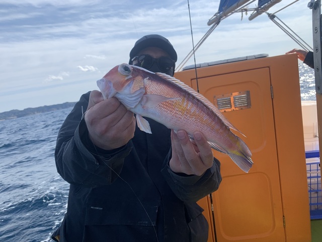 アマダイ(アカアマダイ)