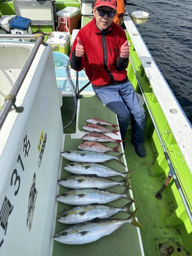 マダイ・イナダ(ブリ)