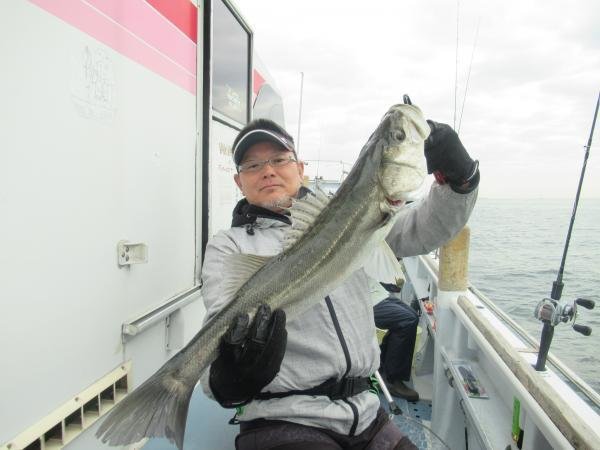 シーバス(スズキ)