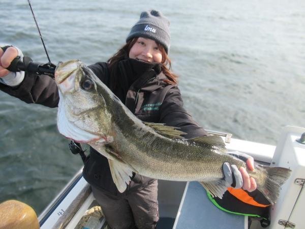 シーバス(スズキ)