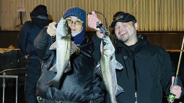 シーバス(スズキ)