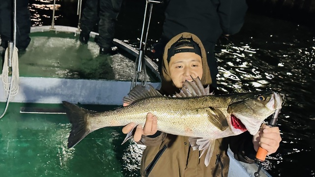 シーバス(スズキ)