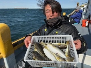 ショウサイフグ