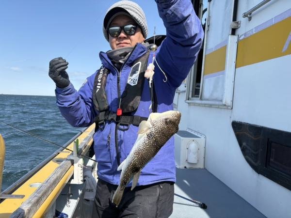 ショウサイフグ