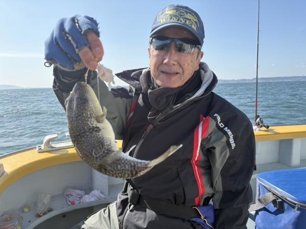 ショウサイフグ