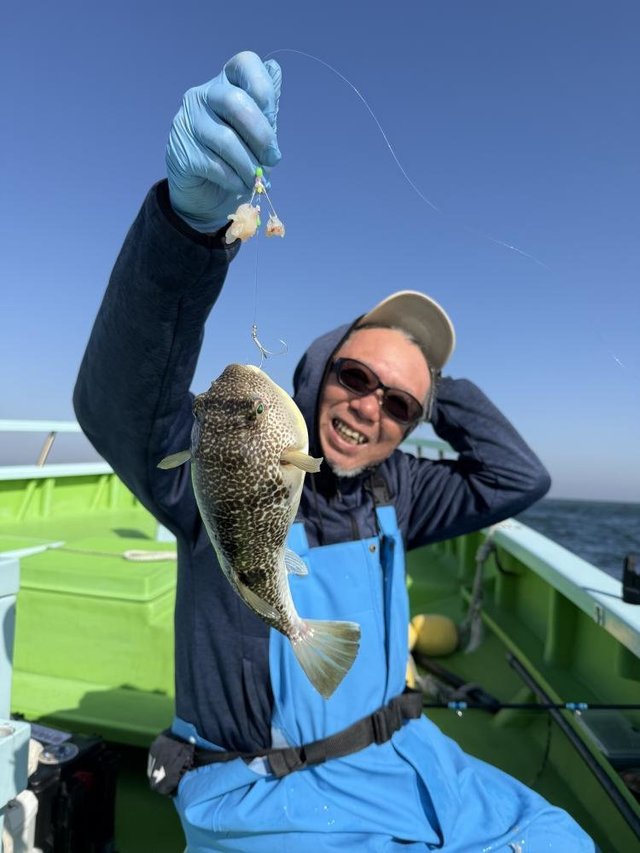 フグ(ショウサイフグ)