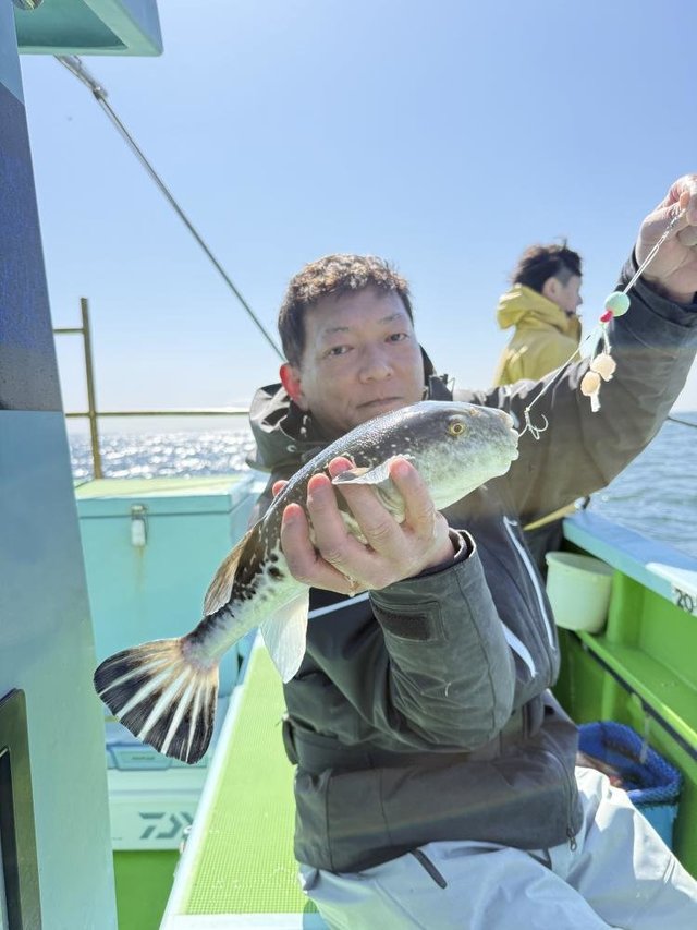 フグ(トラフグ)