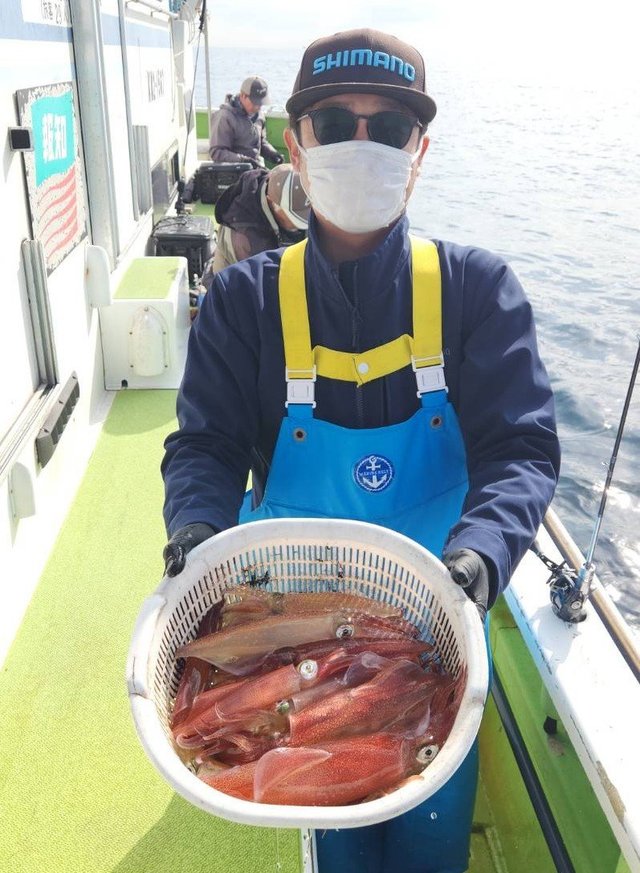 マルイカ(ケンサキイカ)