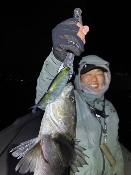 シーバス(スズキ)