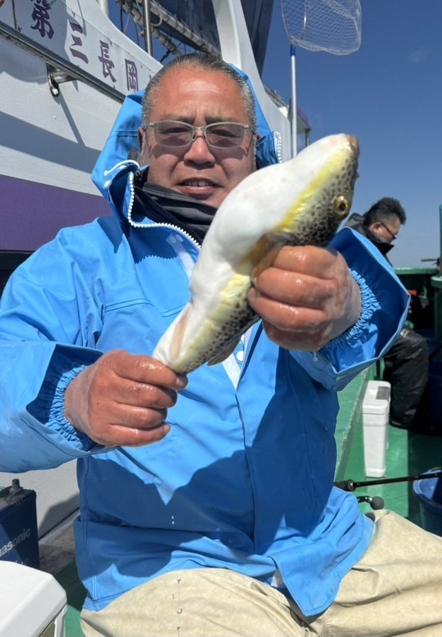 ショウサイフグ