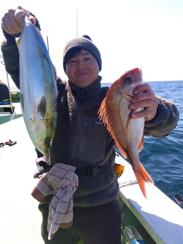 マダイ・イナダ(ブリ)