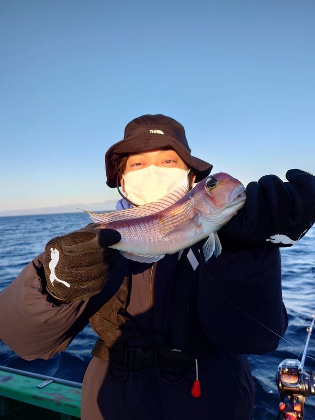 アマダイ(アカアマダイ)