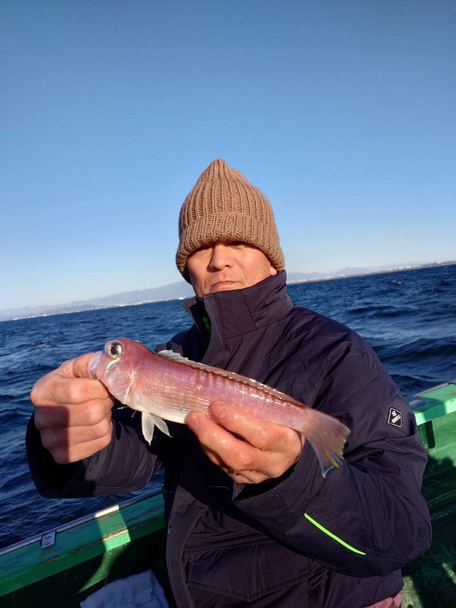 アマダイ(アカアマダイ)