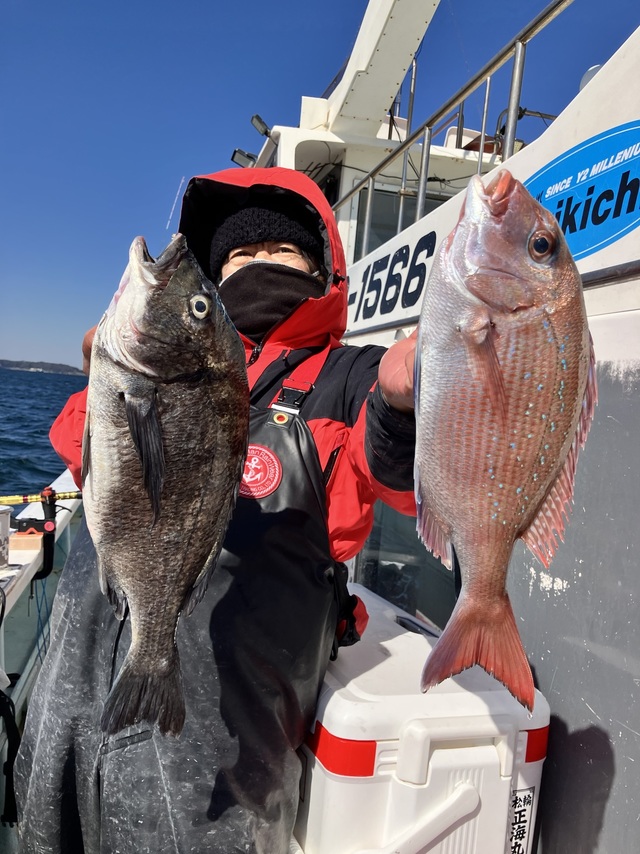 マダイ・クロダイ