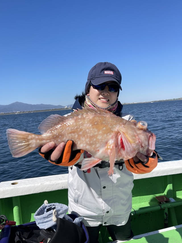 カンコ(ウッカリカサゴ)