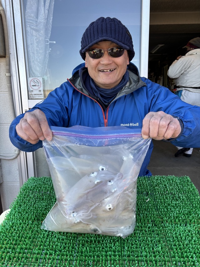 マルイカ(ケンサキイカ)