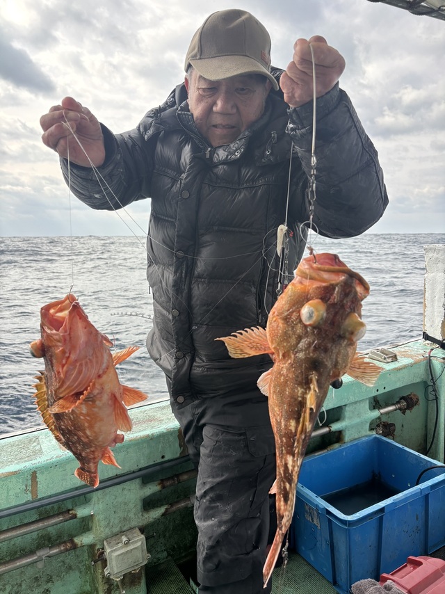 ボッコ(カサゴ)