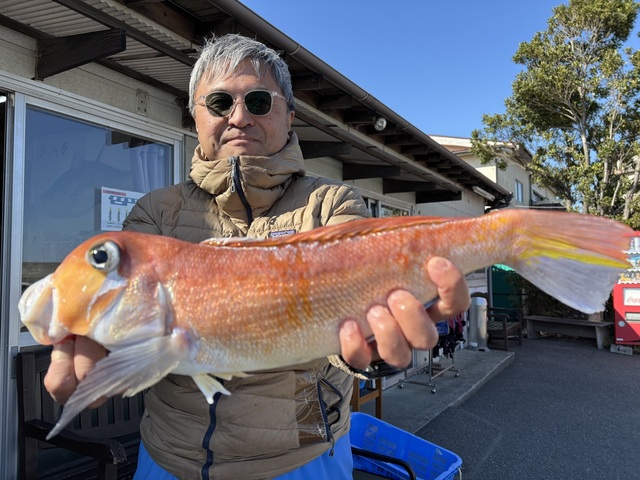 アマダイ(アカアマダイ)