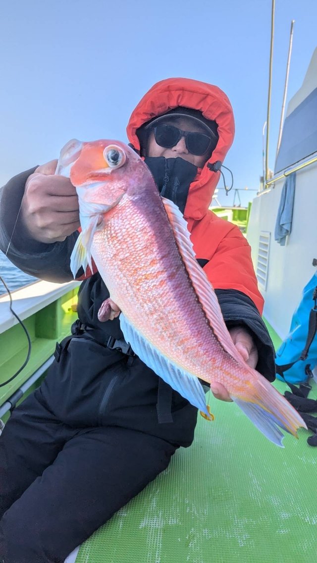 アマダイ(アカアマダイ)