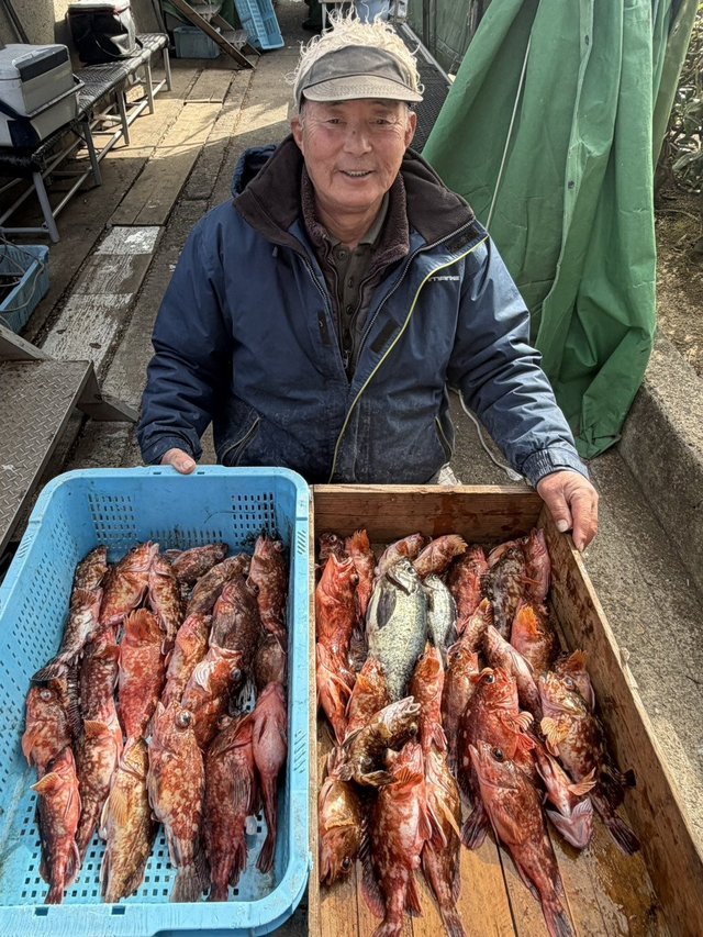 ガシラ(カサゴ)・メバル