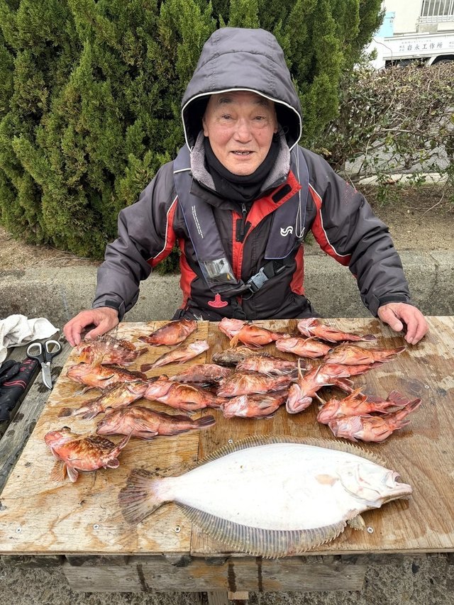 ガシラ(カサゴ)