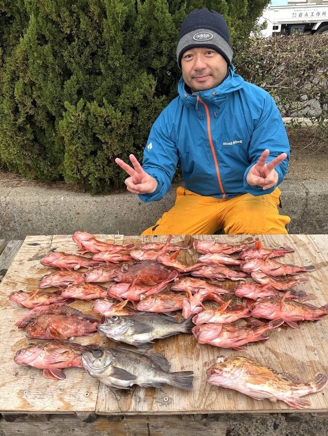 ガシラ(カサゴ)・メバル