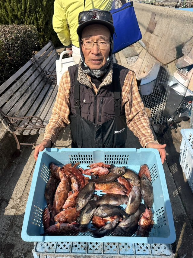 ガシラ(カサゴ)・メバル