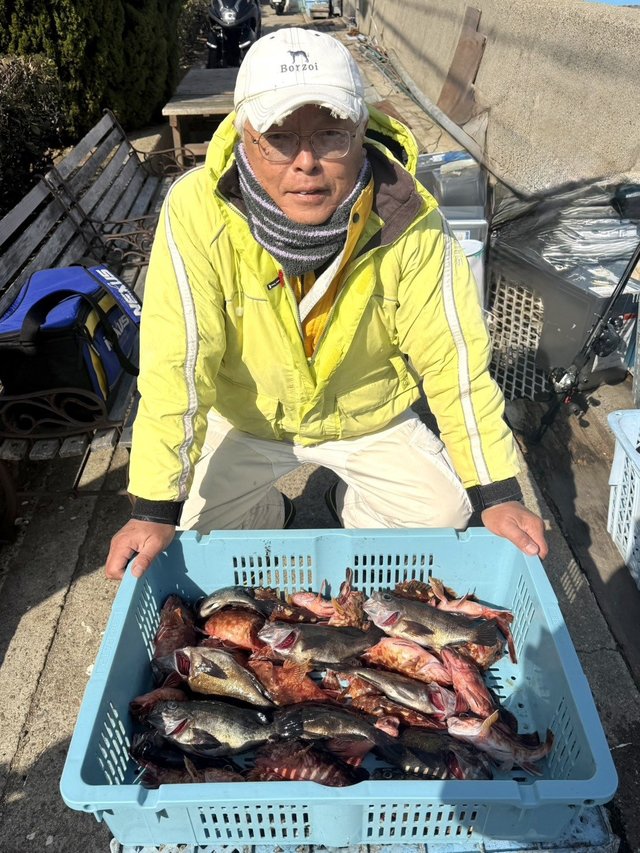 ガシラ(カサゴ)・メバル