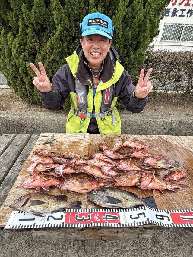 ガシラ(カサゴ)・メバル