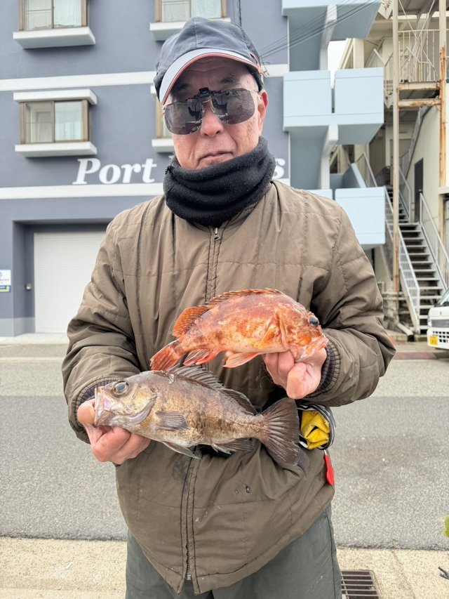 ガシラ(カサゴ)・メバル