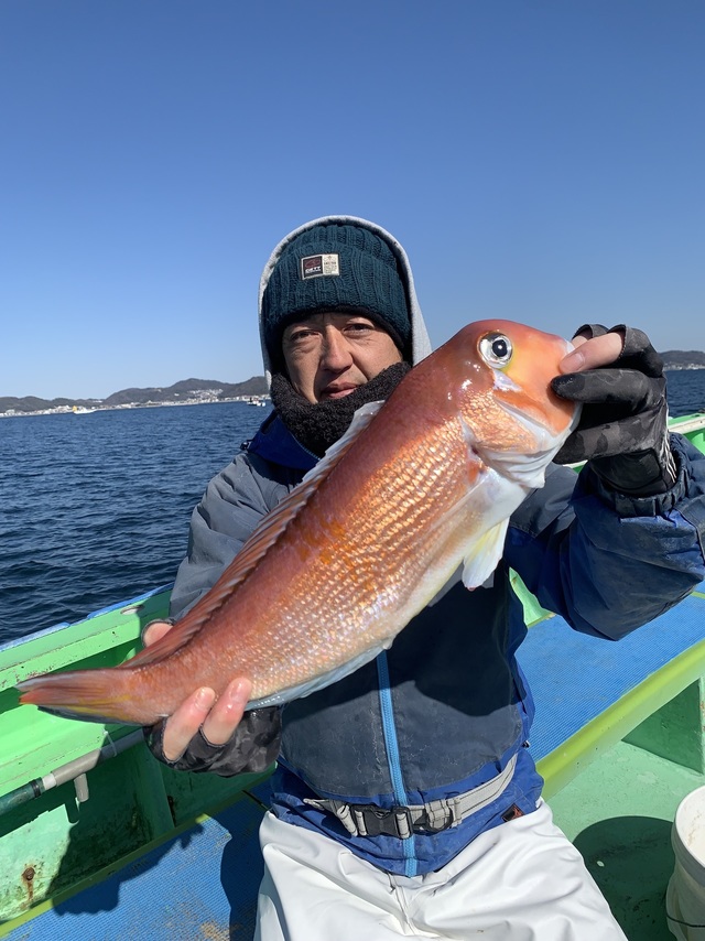 アマダイ(アカアマダイ)