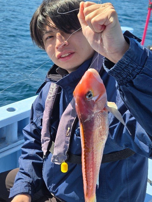 アマダイ(アカアマダイ)