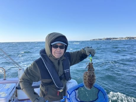 スミイカ(コウイカ)