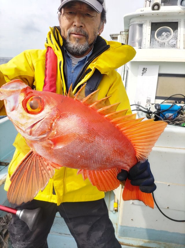 チカメキントキ