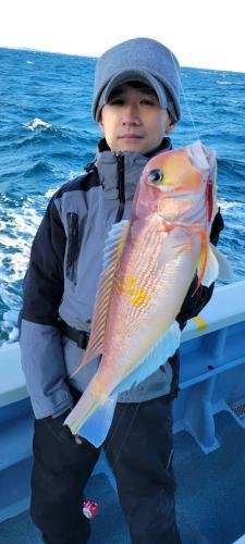 アマダイ(アカアマダイ)