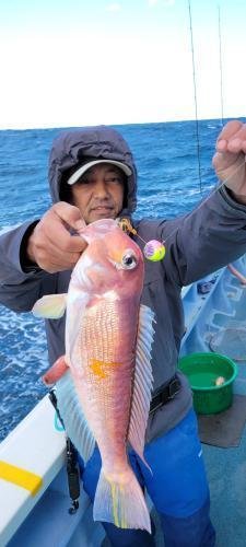 アマダイ(アカアマダイ)