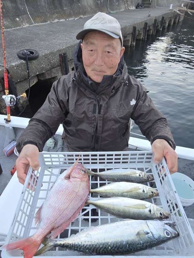 マダイ・アジ(マアジ)・サバ(ゴマサバ)