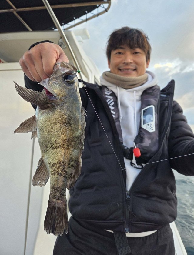 クロメバル(メバル)