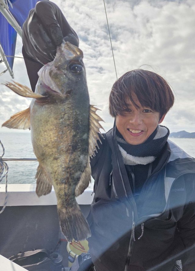 クロメバル(メバル)