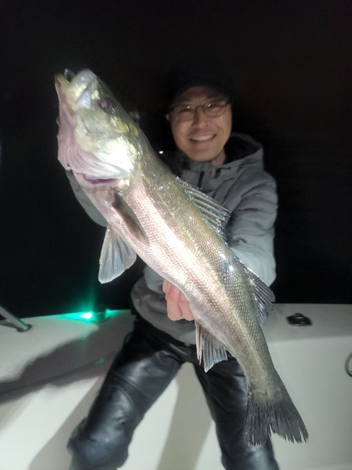 シーバス(スズキ)