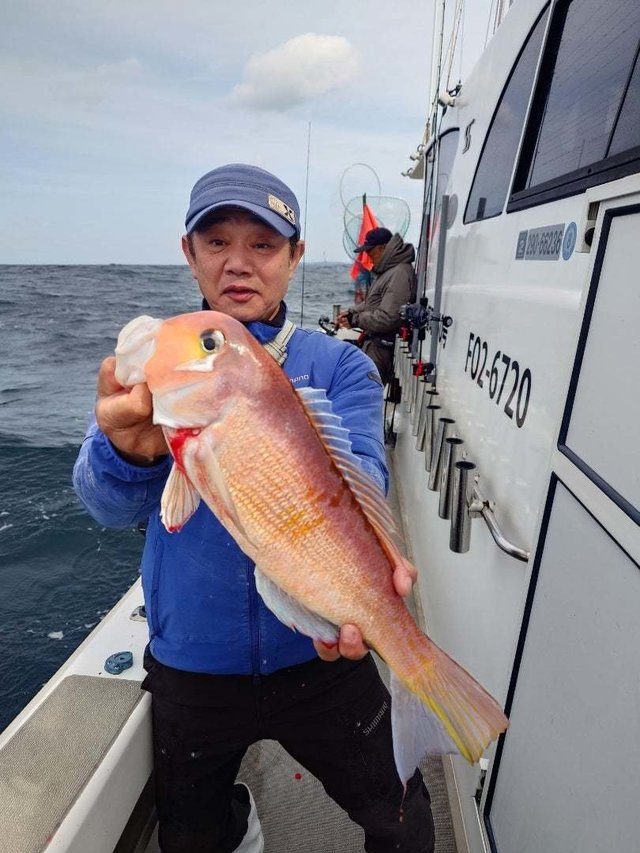 アマダイ(アカアマダイ)