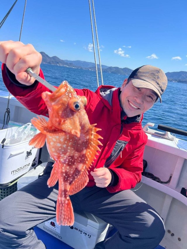 ウッカリカサゴ