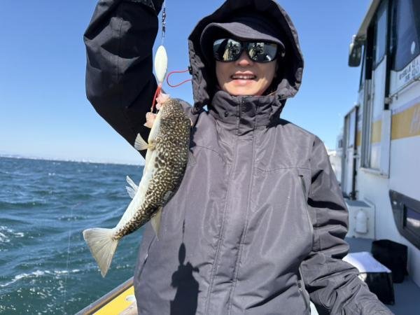 ショウサイフグ