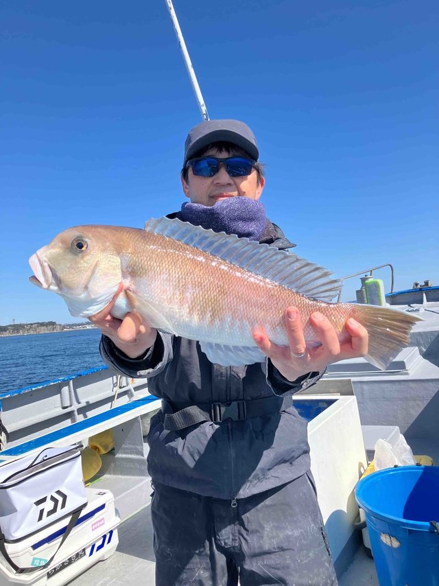 アマダイ(アカアマダイ)