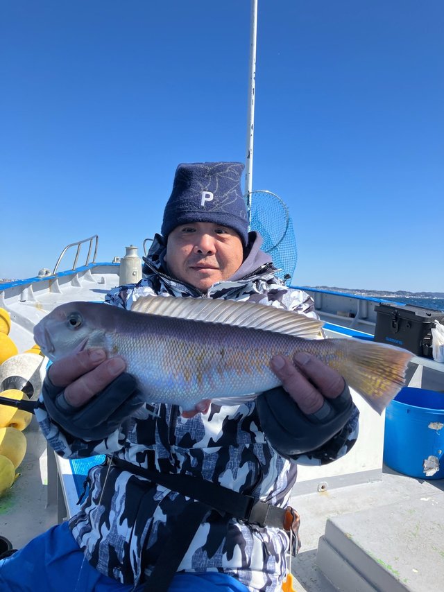 アマダイ(アカアマダイ)