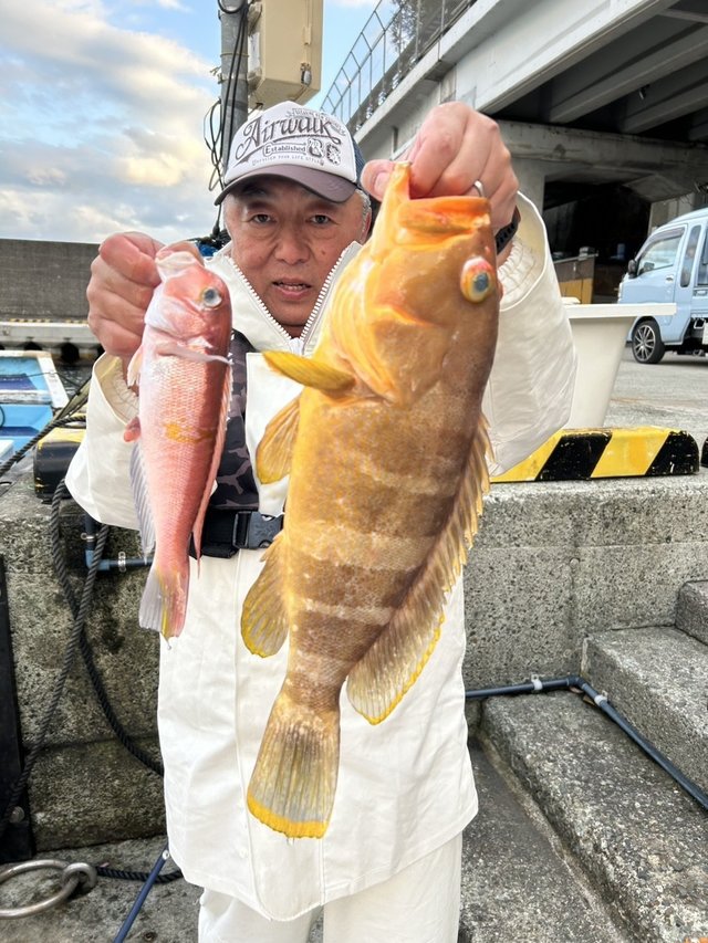 アオハタ・アマダイ(アカアマダイ)